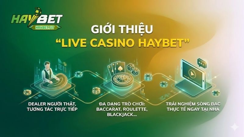 Live casino Haybet - Điểm hẹn cá cược trực tuyến lý tưởng 1 live-casino-haybet-diem-hen-ca-cuoc-truc-tuyen-ly-tuong